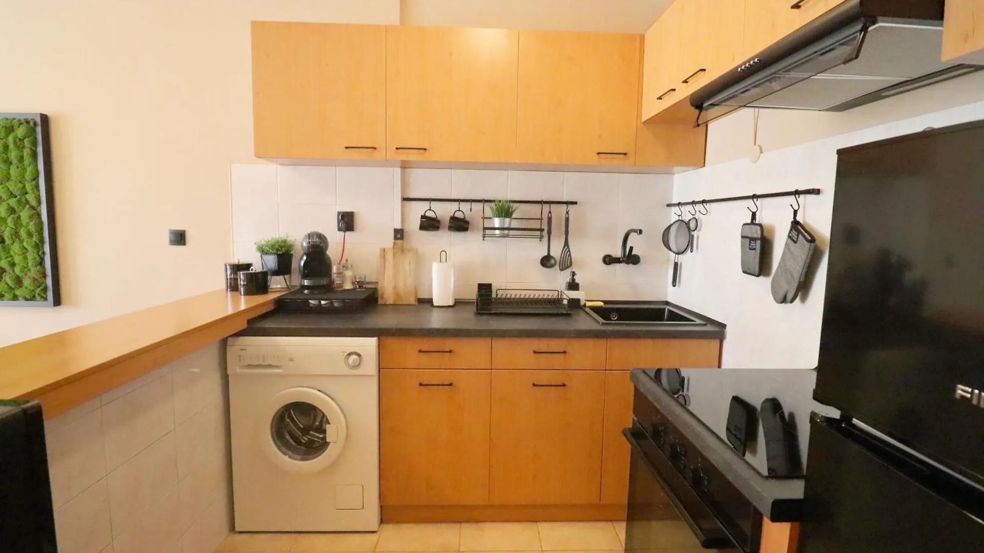 Green Cozy And Central 1Bdrm Apartment Sofía